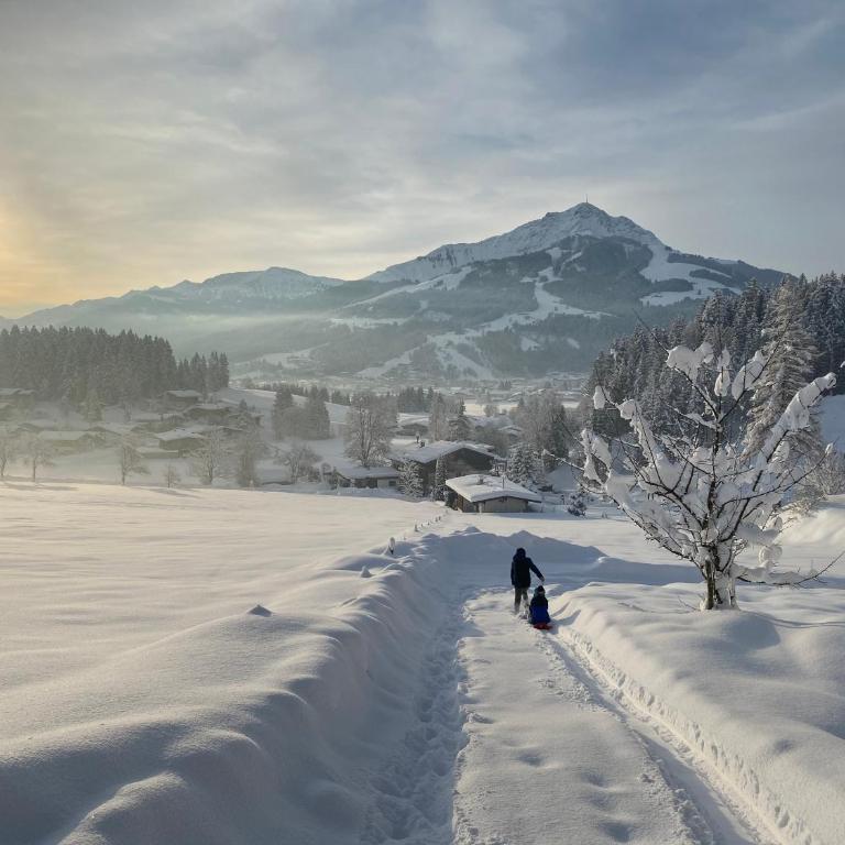Berghof Haselsberger Appartements - Apartamento con vistas a las montañas - 13