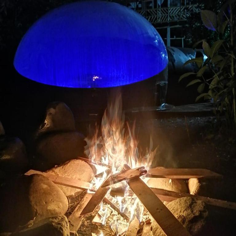 Mindo GlamBird Glamping & Lodge - Tent - 3