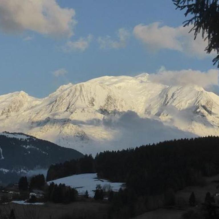 Chalet Mireneige, charme et confort face au Mont Blanc - Chalet - 4