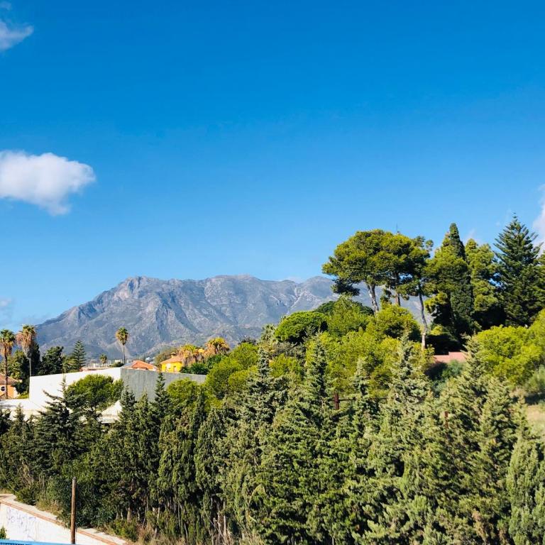 Apartments with tropical garden and sea water pool - One-Bedroom Apartment - 40