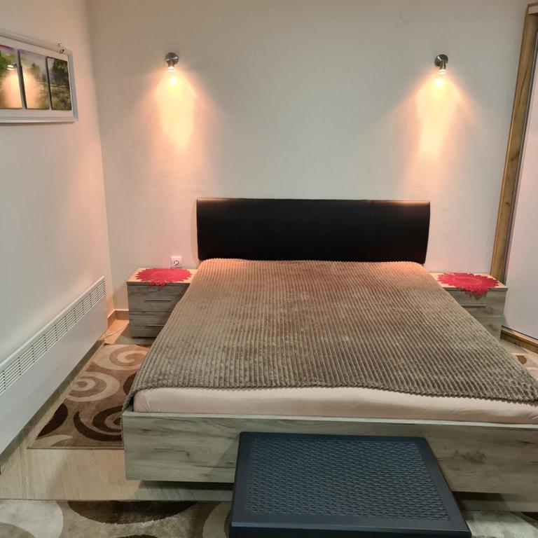 Divcibare apartmani Gavrić - Studio - 18