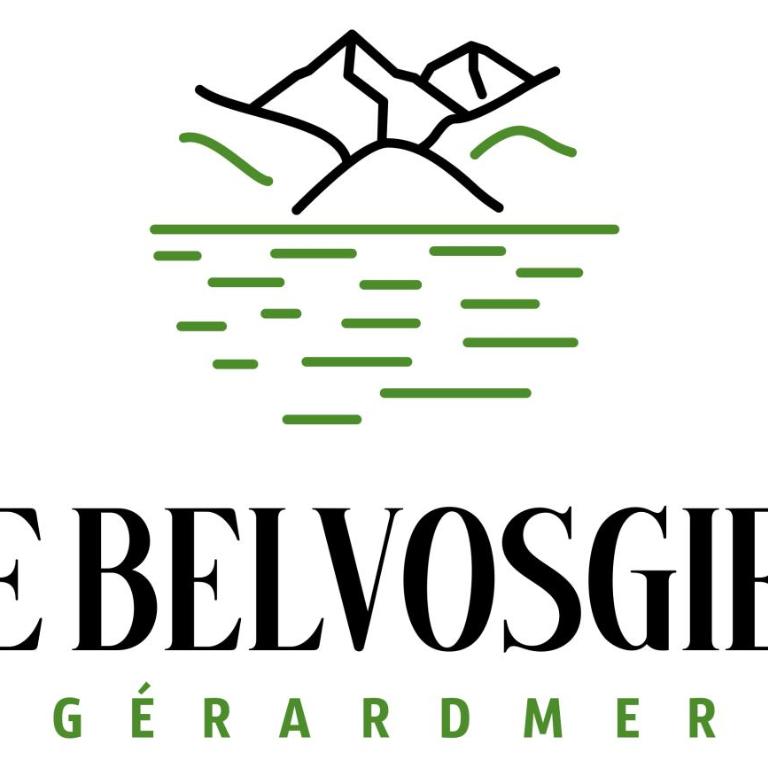 Le Belvosgien - Appartement en Duplex - 2
