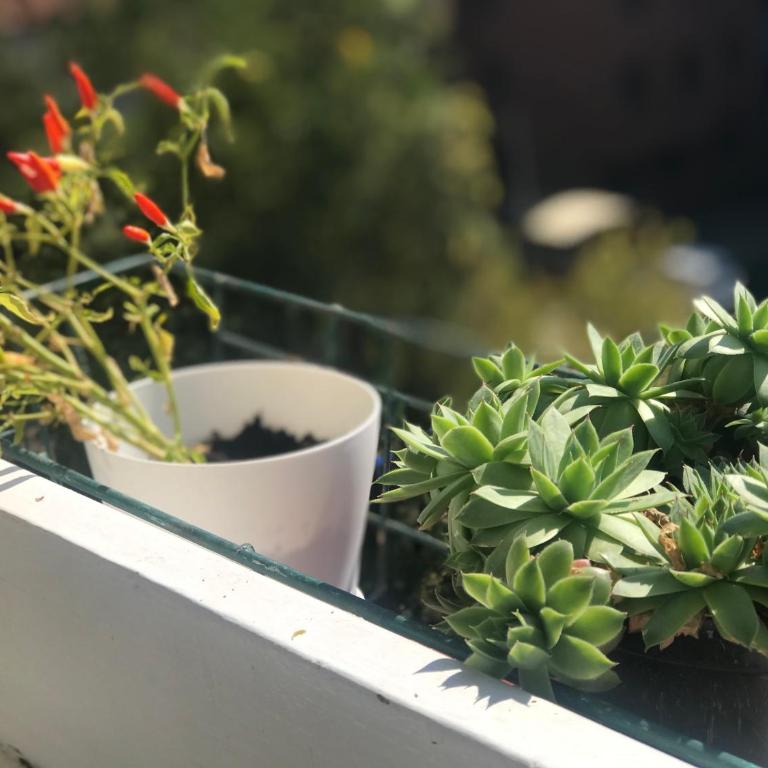Dan i noc - Apartman sa 2 Spavaće Sobe - 52