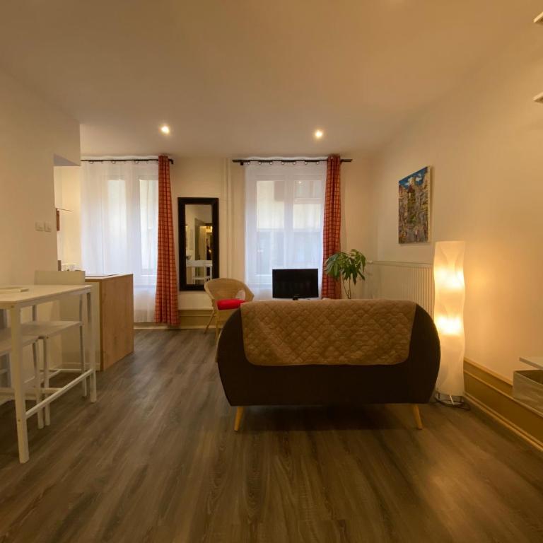 L'Ours de Colmar - Appartements en centre ville - Appartamento - Piano Terra - 17