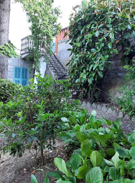 Casa Gazzano - Four-Bedroom House - 10