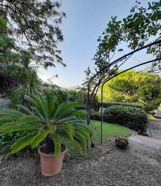 Casa Gazzano - Four-Bedroom House - 56