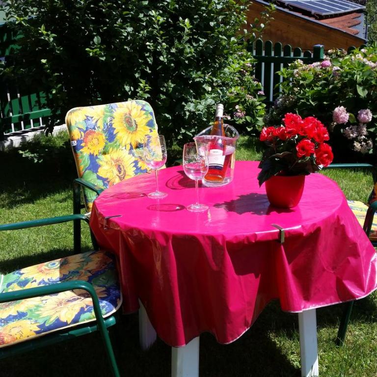 Appartementhaus Zillertal by PiaundDirk - Standard Apartment mit 1 Schlafzimmer und Terrasse - 4