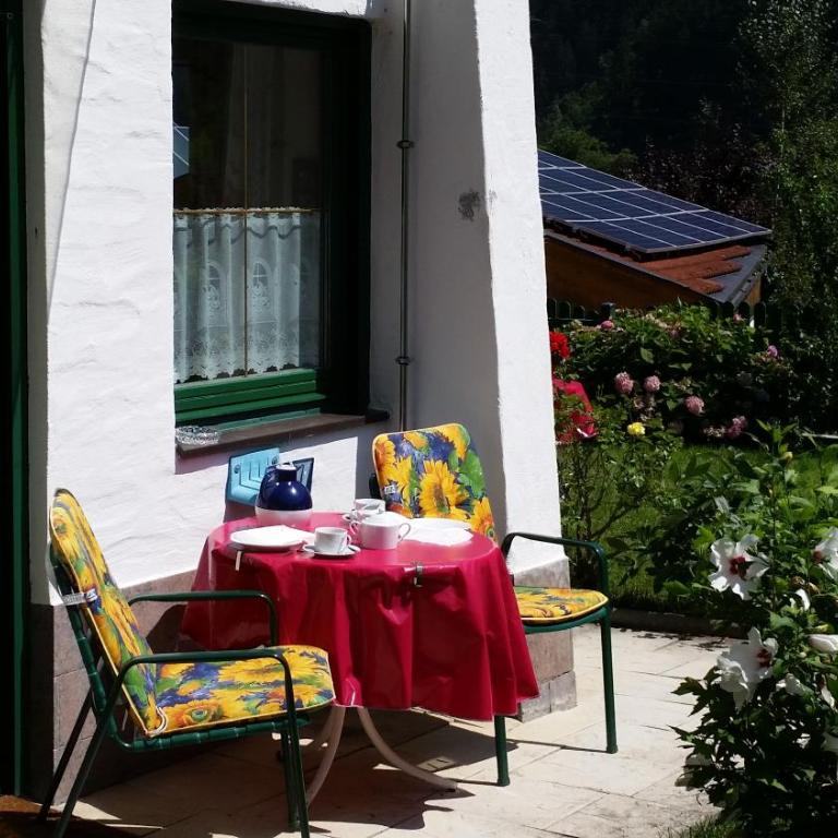 Appartementhaus Zillertal by PiaundDirk - Standard Apartment mit 1 Schlafzimmer und Terrasse - 5