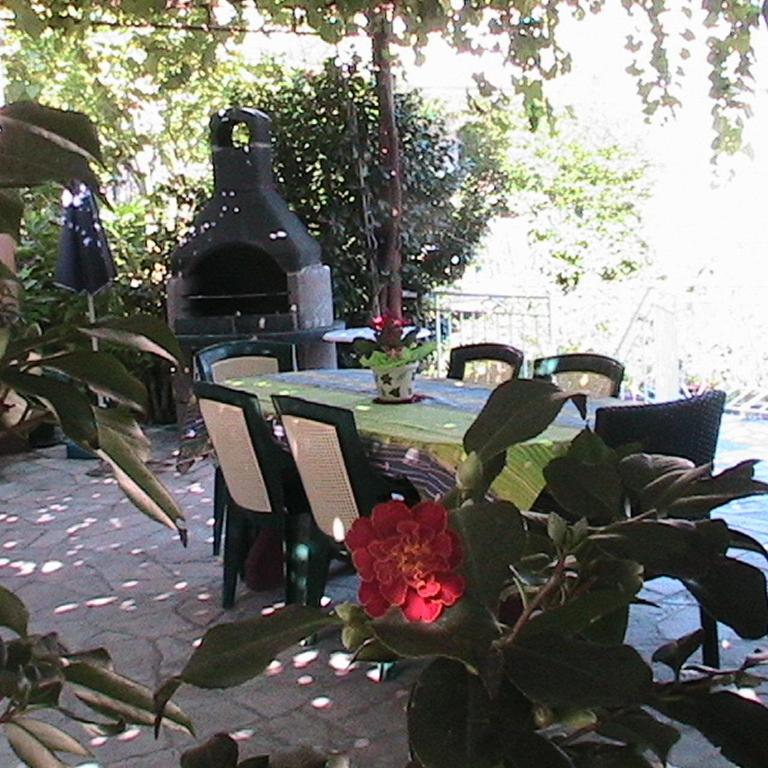 Apartments Penovic - One-Bedroom Apartment with Terrace - 11