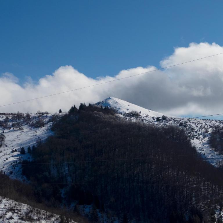 Apartments Topview Kopaonik-Dvori - Apartment with Mountain View - 47