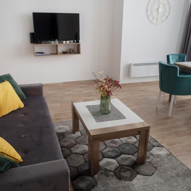 Apartments Topview Kopaonik-Dvori - Apartment with Mountain View - 26
