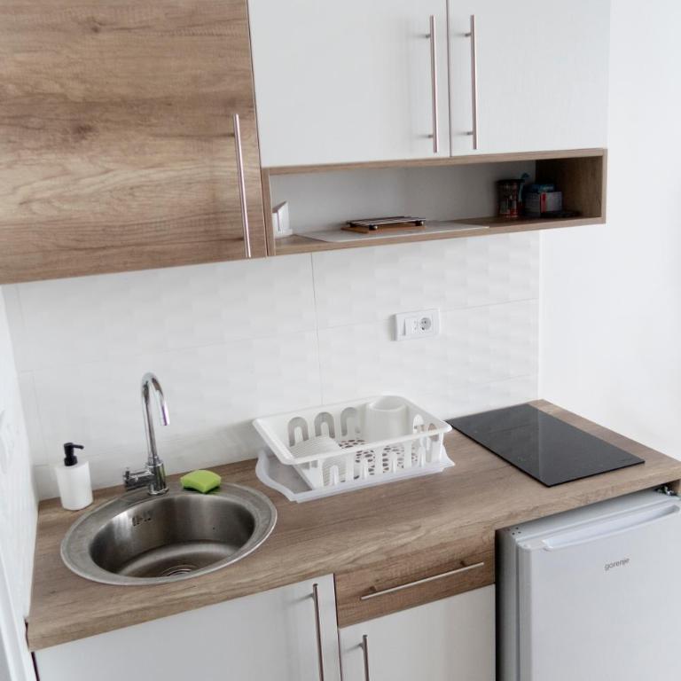 Apartments Topview Kopaonik-Dvori - Apartman sa Pogledom na Planinu - 31