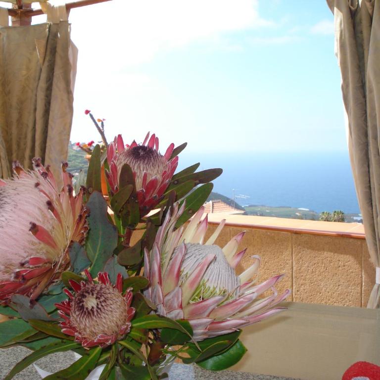 Sunny terrace Tenerife - Apartamento de 2 dormitorios - 2