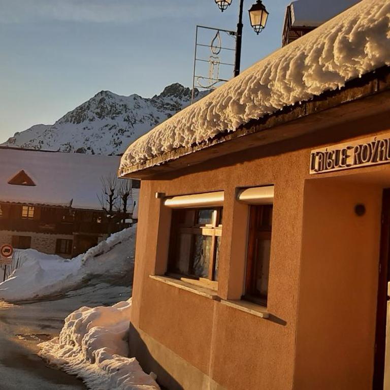 L'Aigle Royal - Studio - Rez-de-chaussée - 1