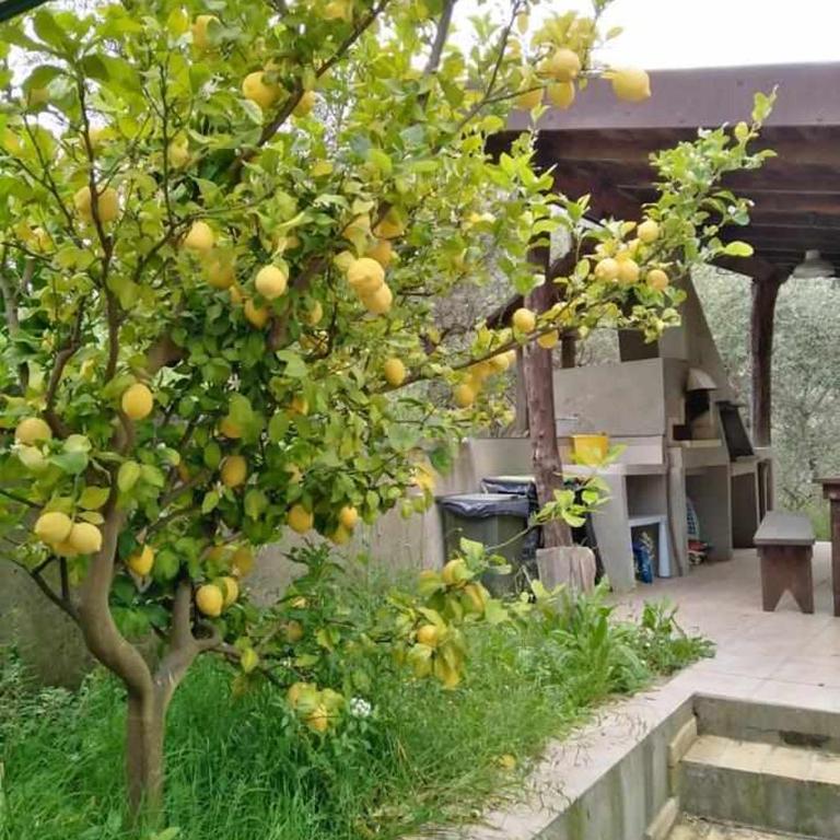 La casetta di Sofia - Casa con 3 Camere da Letto - 17