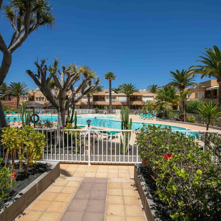 Las Dunas, Holiday Home Resort - VV - Apartment with Pool View - 5