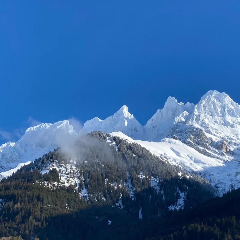 Chalet le Knou - Appartement 1 Chambre - 13