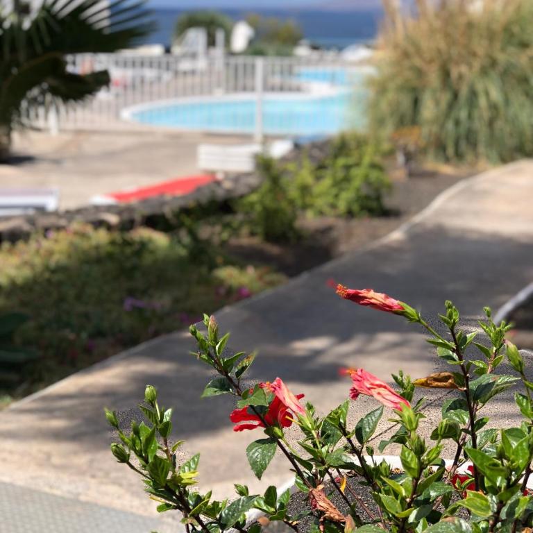 Miramar - Two-Bedroom Apartment - 20