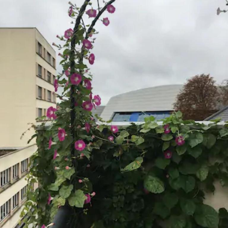 Suite Magdelaine - Vue Cathédrale - Appartement - 9