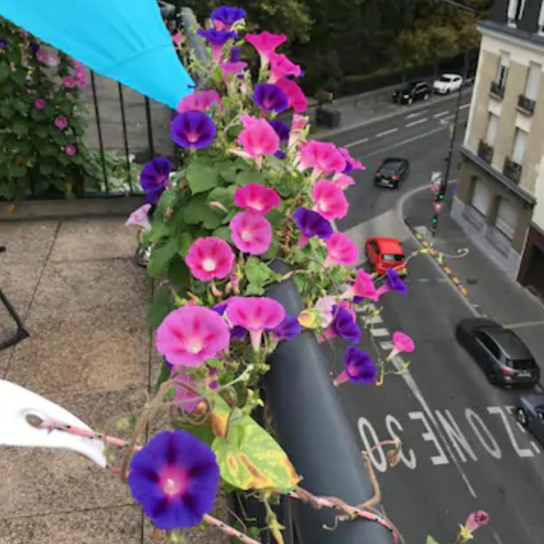 Suite Magdelaine - Vue Cathédrale - Appartement - 15