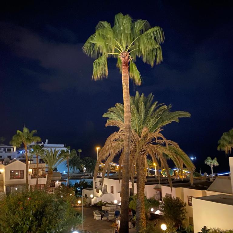 Miramar - Two-Bedroom Apartment - 32