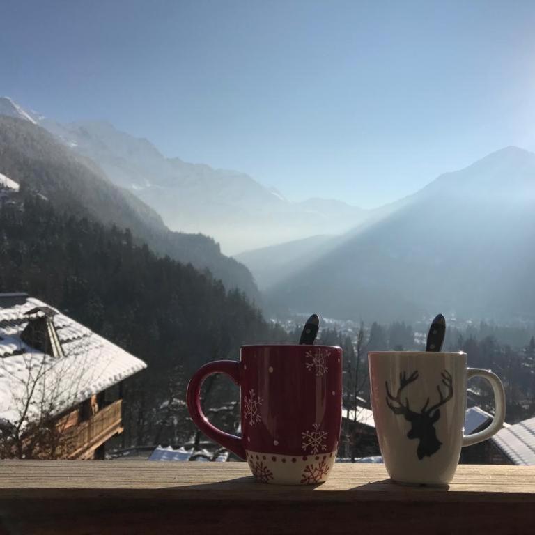Chalet du grand cerf - Chalet 3 Chambres - 2