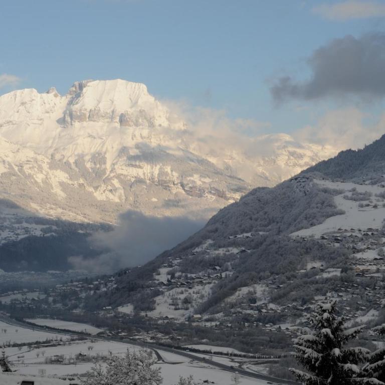 Spacious and comfortable chalet apartment. - Appartement - 34