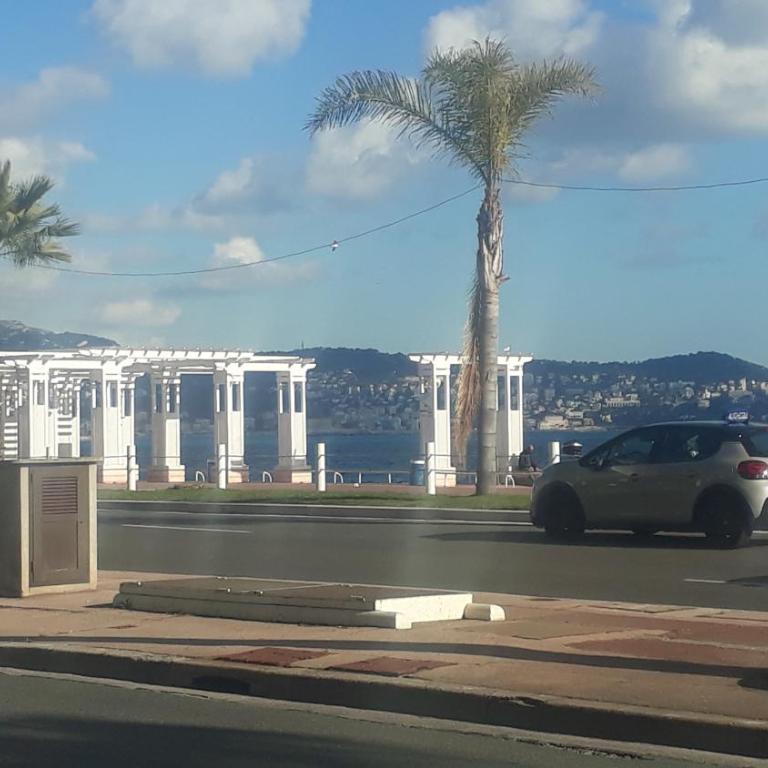 Les Palmiers NiceAirport, Beach200m, 2bedrooms, Wifi Optic - Appartement 1 Chambre - 2