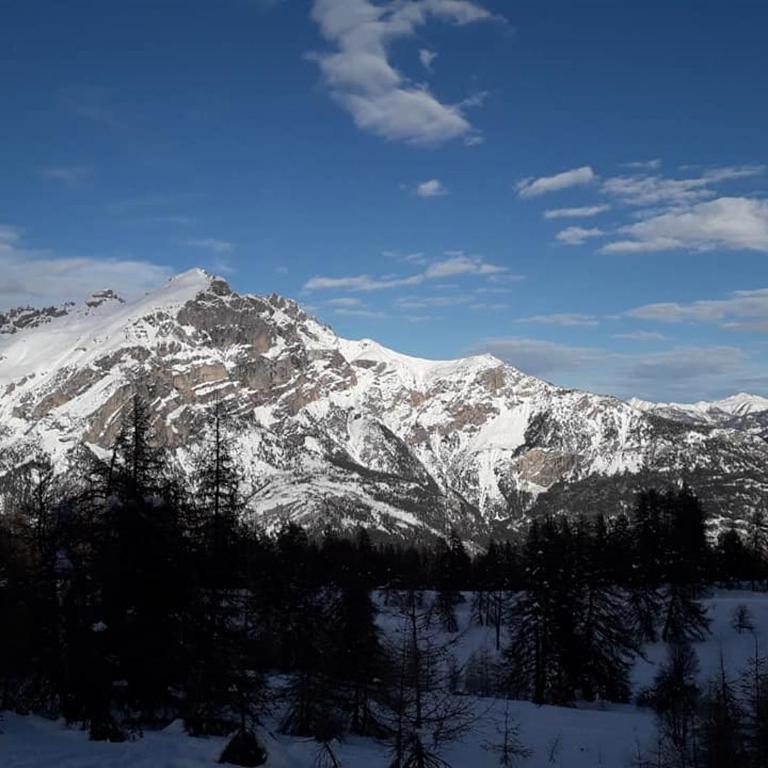 Skis aux pieds station 1600 Sun Vallée - Apartment mit 1 Schlafzimmer - 72