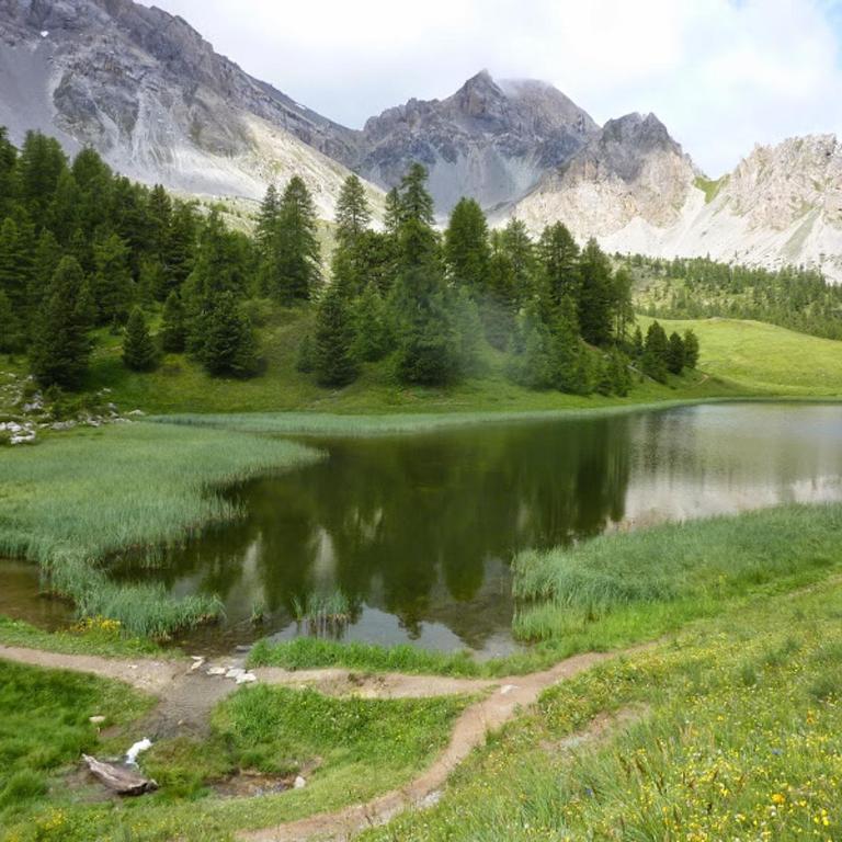 Skis aux pieds station 1600 Sun Vallée - Apartment mit 1 Schlafzimmer - 95