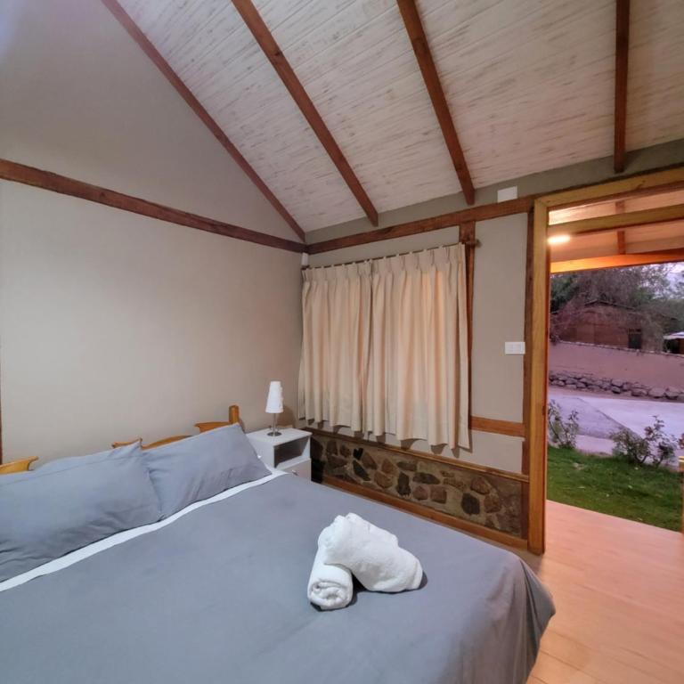 Hotel El Tesoro de Elqui - Double Room with Terrace - 1
