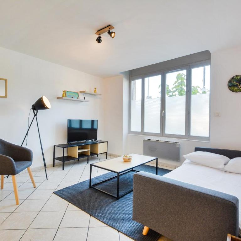 Les Cosy De Nancy La tanière de la porte verte 4étoiles - Appartement Supérieur - 5