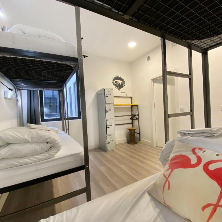 ECO Hostel - Bed in 4-Bed Dormitory Room - 15