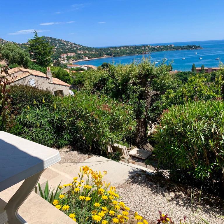 Villa Grand Baie - Studio "Bougainvillier" with Sea View - 11
