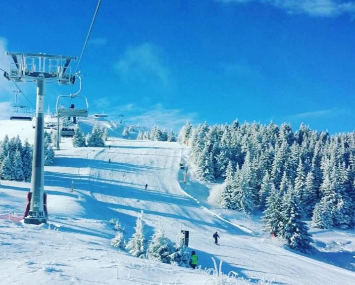 Apartman D16 Milmari Kopaonik - One-Bedroom Apartment - 26