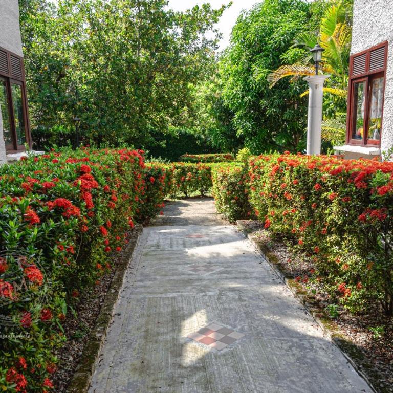 ALDEA VACACIONAL LA FLORIDA Apto 103 Bloque 1 - Apartamento de 2 dormitorios - 18