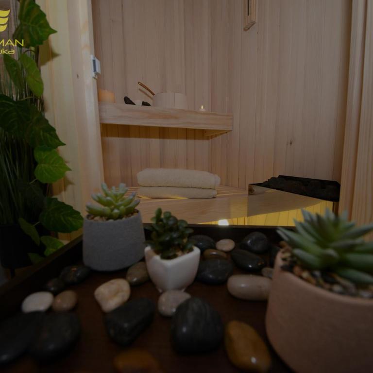 Spa Apartman Banja Luka - Apartman sa 1 Spavaćom Sobom - 29