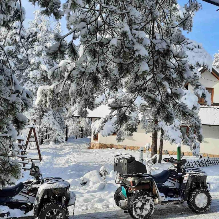 Apartmani kod Pančevca - Apartman na Više Nivoa - 19