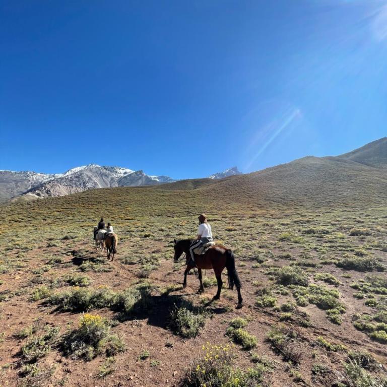 Mountain Aparts Cirrus - Apartamento de 2 dormitorios - 25