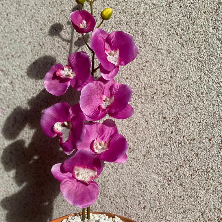 Apartment Orchid 021 - Apartman sa 1 Spavaćom Sobom - 27