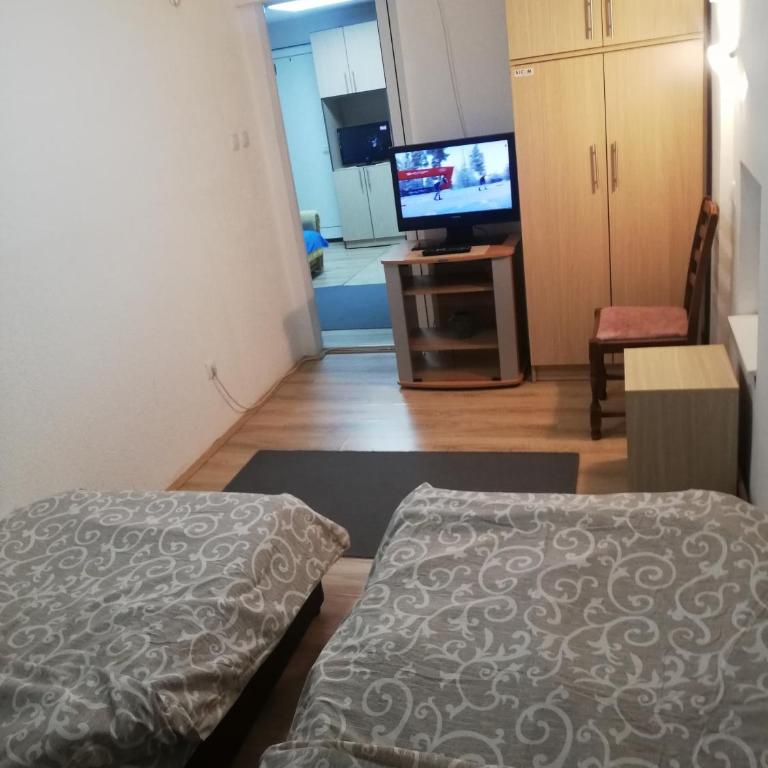 Kopaonik Apartman Aleksandar - Apartman sa 2 Spavaće Sobe - 1