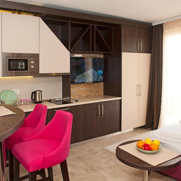 Apartman NERA - u Kraljevim čardacima Kopaonik - Deluks Studio Apartman sa Terasom - 2