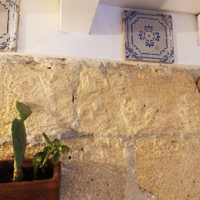 Casa Liò - Ferienhaus - 21