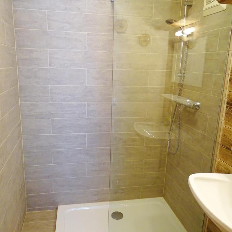 Haus Schneeberg mit Hochkönig Card - Standard Apartment mit 1 Schlafzimmer und Balkon - 6