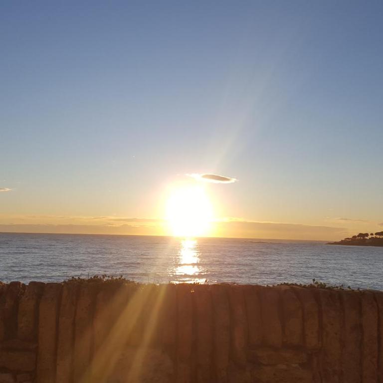 la Tourraque - Appartement 1 Chambre - 49