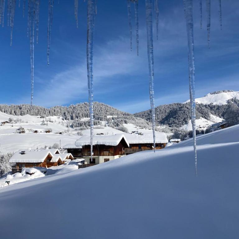 Chalets Savoie Les chalets d'Heidi - Chalet - 9