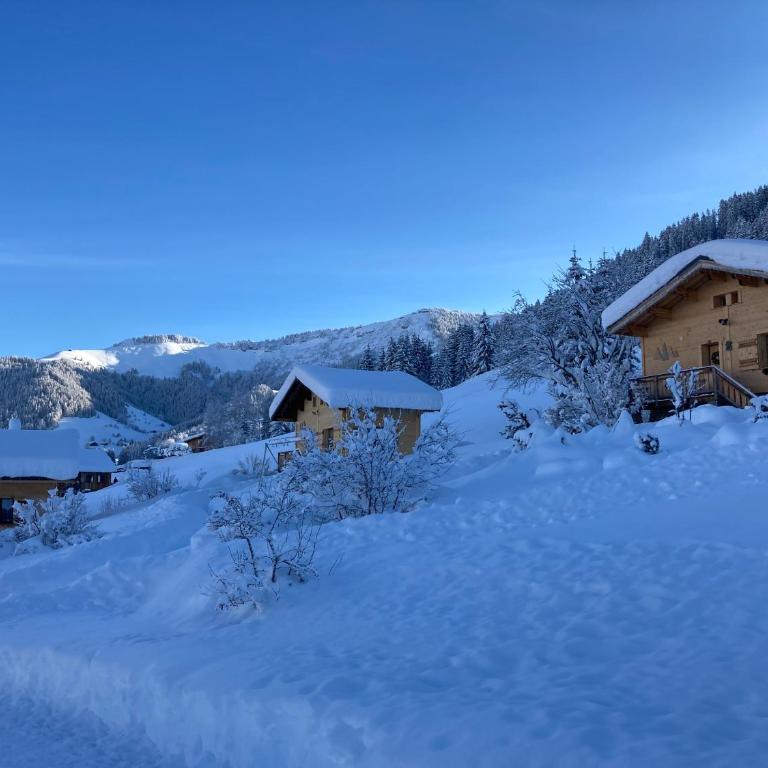 Chalets Savoie Les chalets d'Heidi - Chalet - 8