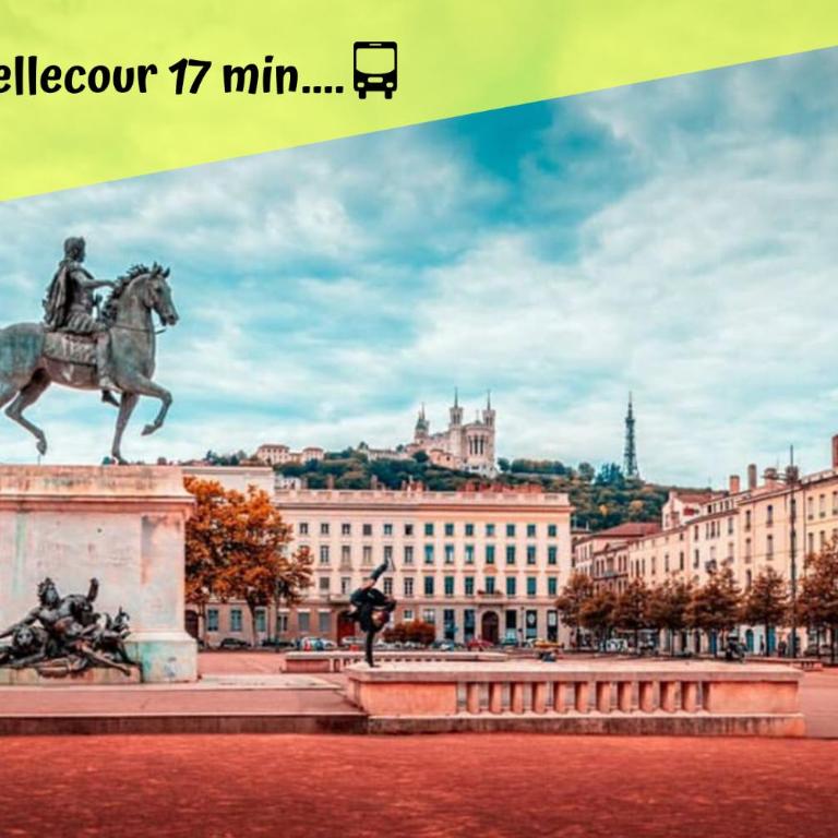 Le Nid Lyonnais - Le Vienne - Appartement - 18