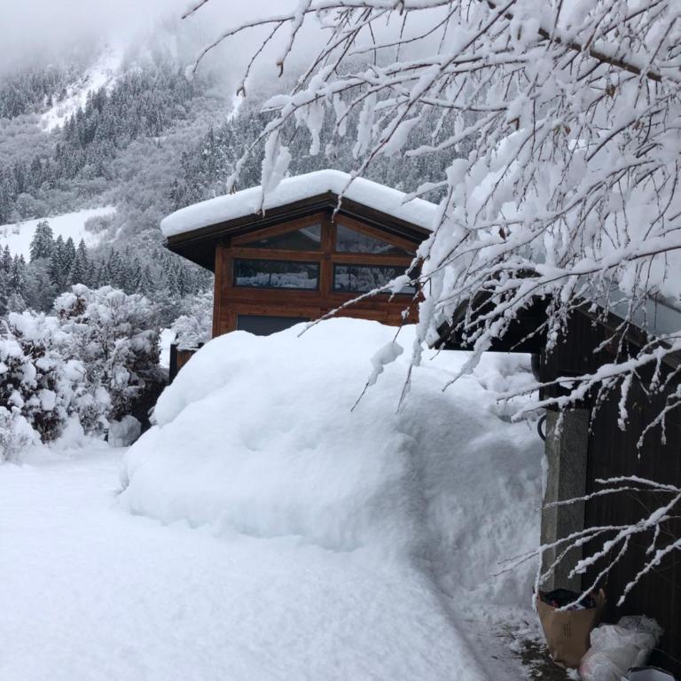 Chalet Plan Glacier - Chalet - 9