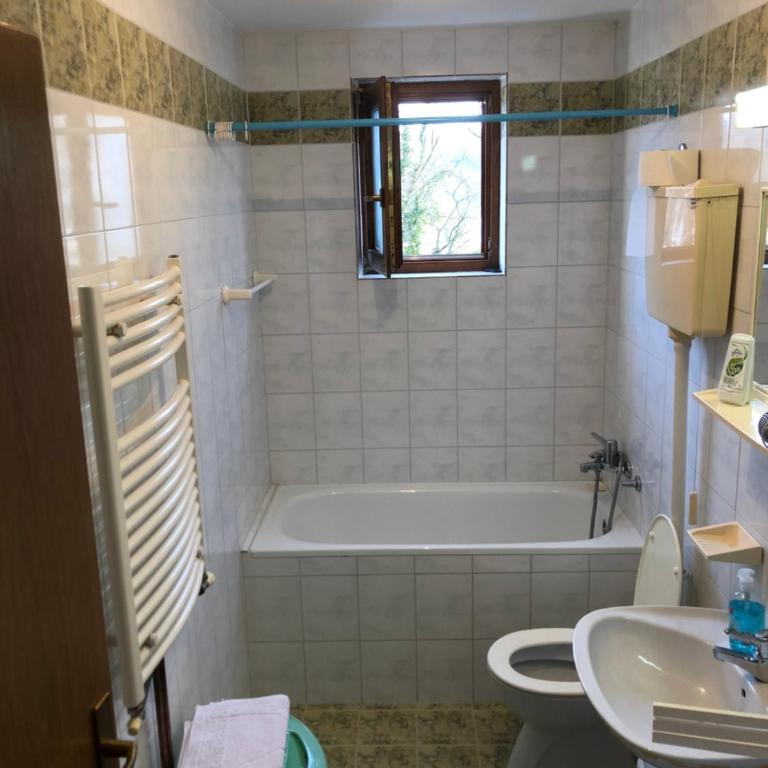 Apartman Djina - Apartman sa 1 Spavaćom Sobom - 16